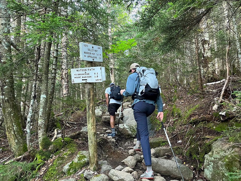 Hikers following marked trail