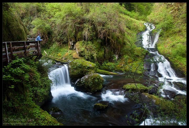 Sweet Creek Falls Oregon