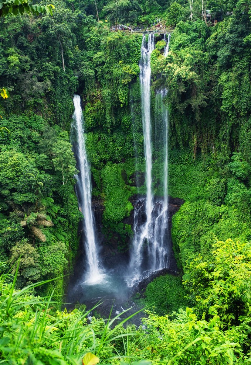 Bali waterfall surrounded by jungle
