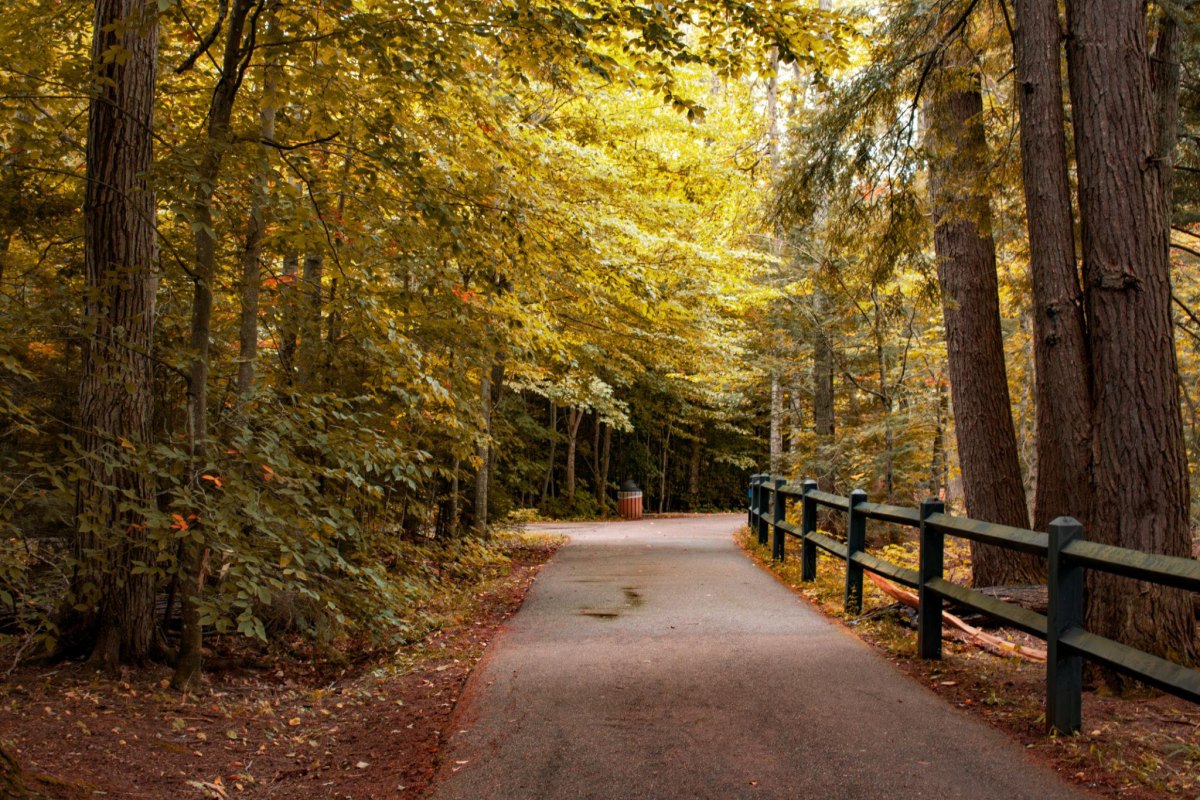 Tahquamenon Falls autumn forest path