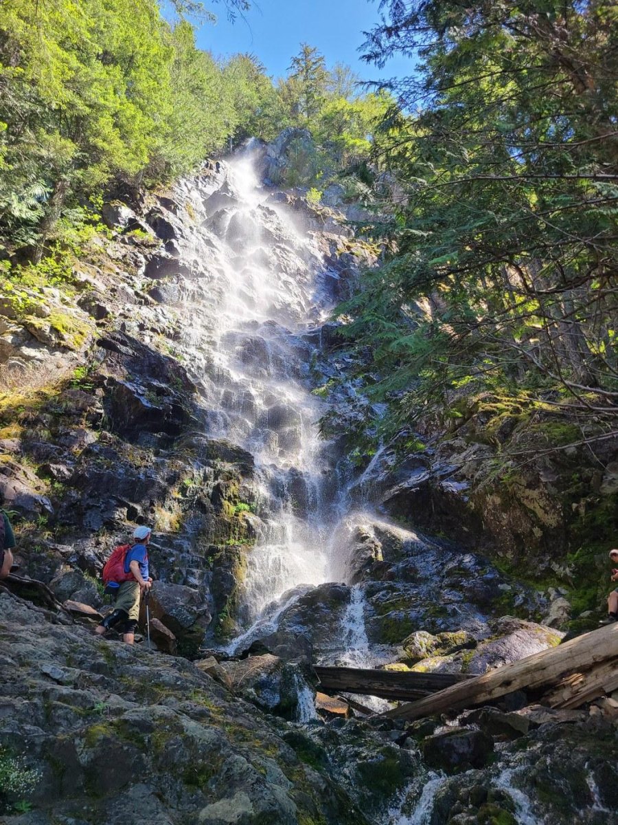 Teneriffe Falls Cascade forest
