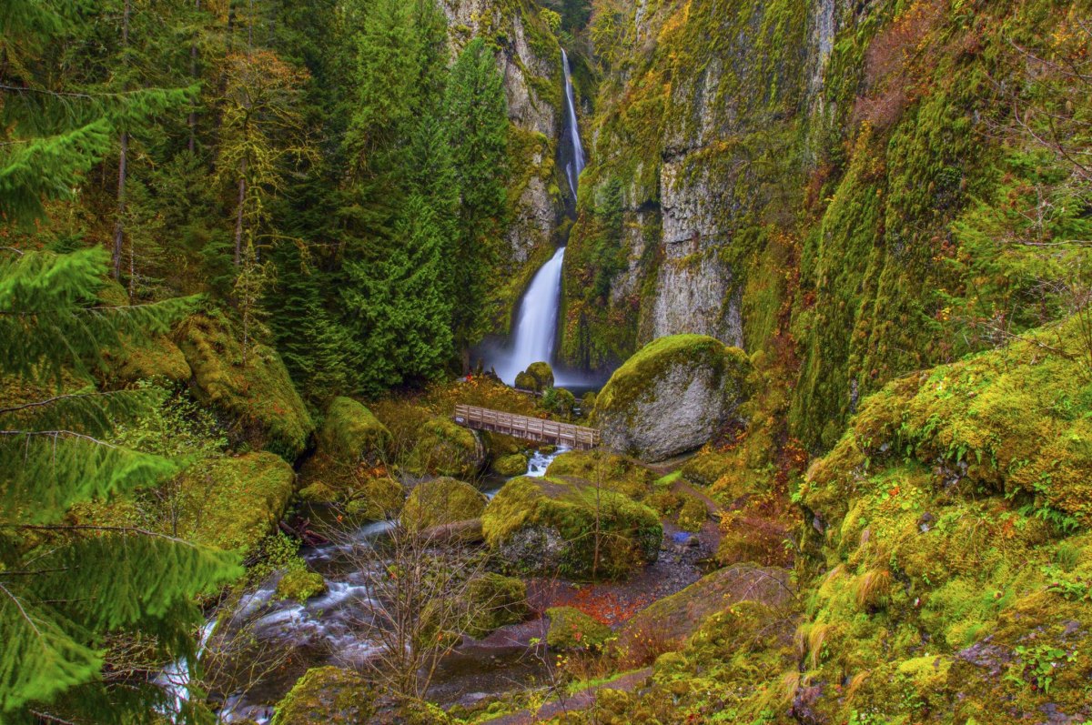 Wahclella Falls Oregon trail