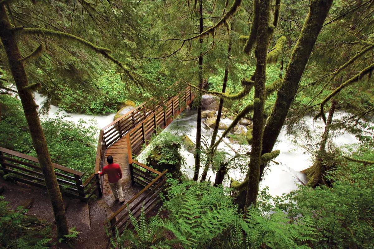 Wallace Falls waterfall hiking trail