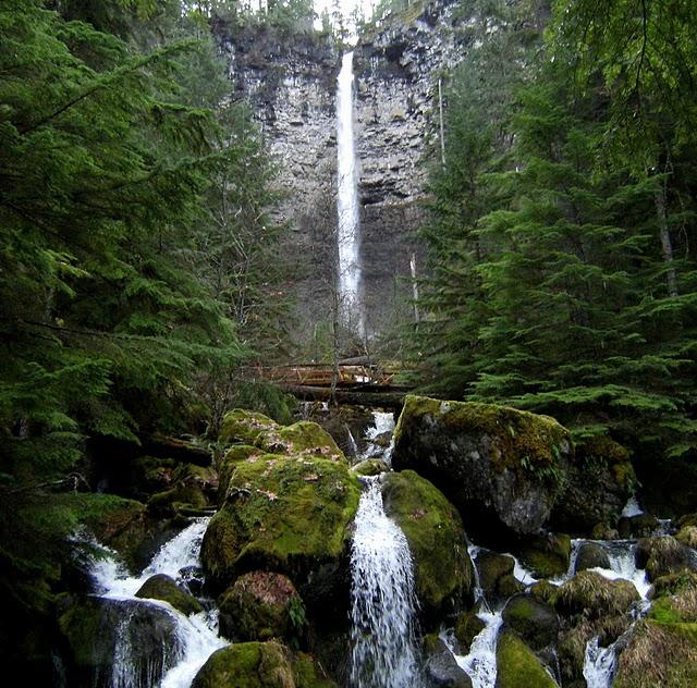 Watson Falls Oregon forest