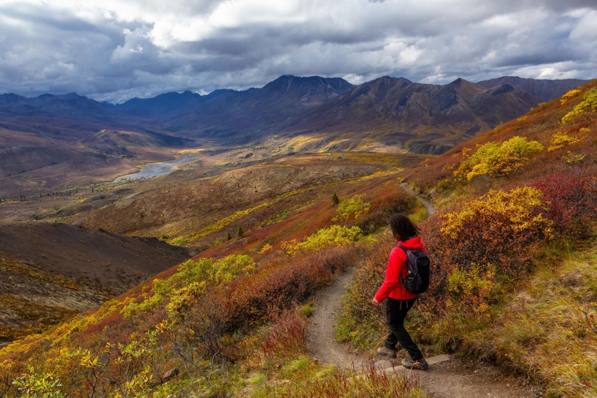 Yukon autumn mountain hiking trail