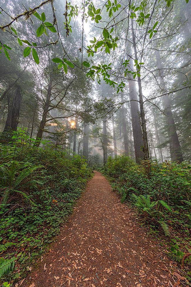 National Park Mood Guide for Every Type of Adventure