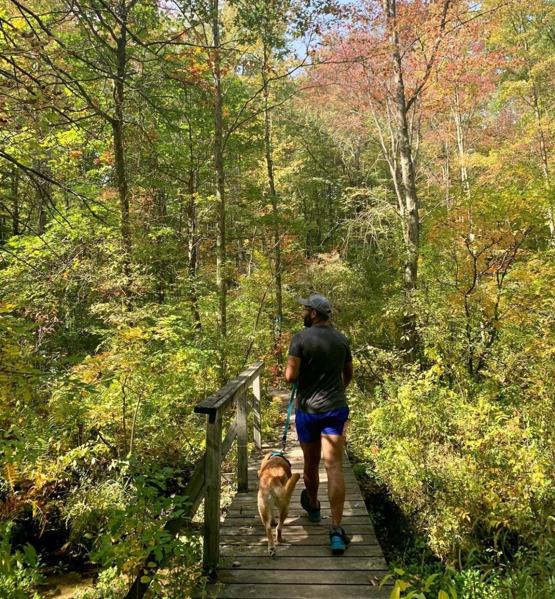 Yankee Springs fall hiking loop