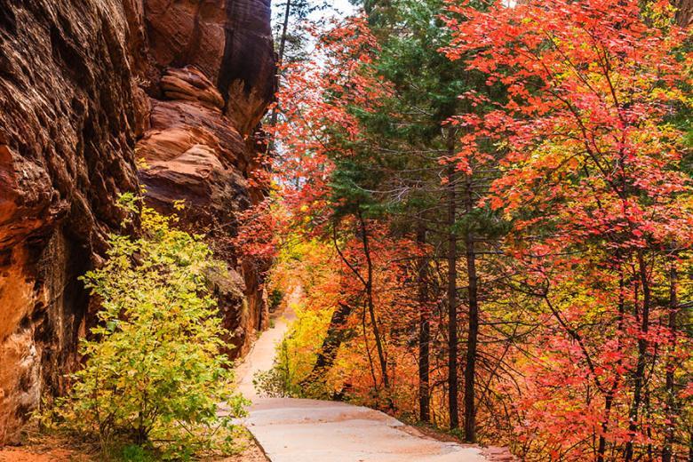 Zion canyon trail with autumn foliage